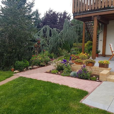2 Raum Gartenwohnung Am Spreewaldradweg In קוטבוס מראה חיצוני תמונה